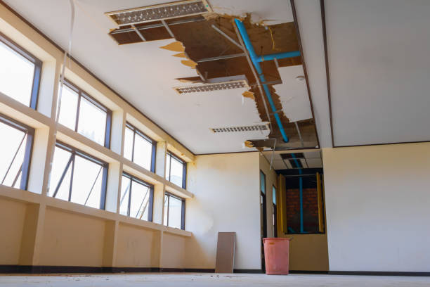 Best Residential water damage restoration  in East Lansing, MI