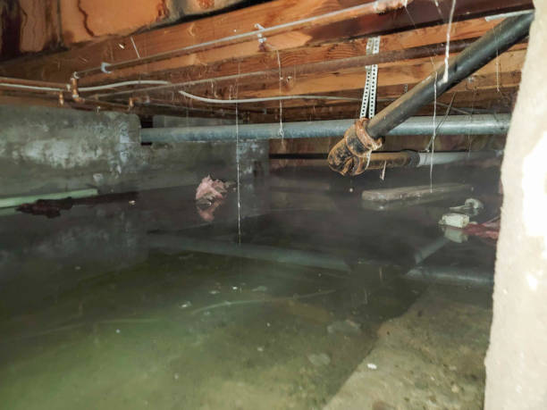 Best Local water damage restoration  in East Lansing, MI