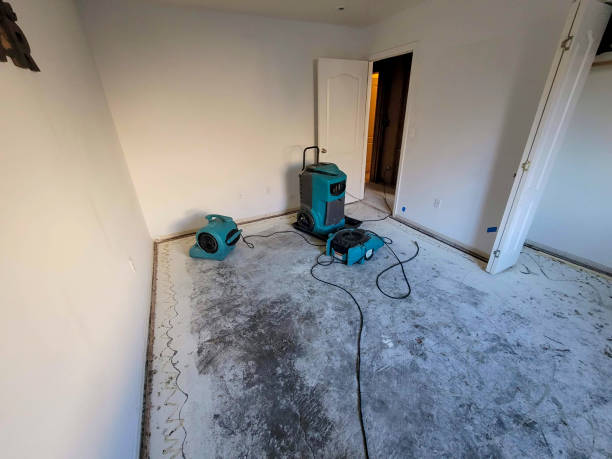 Best Sewage cleanup and water damage restoration  in East Lansing, MI