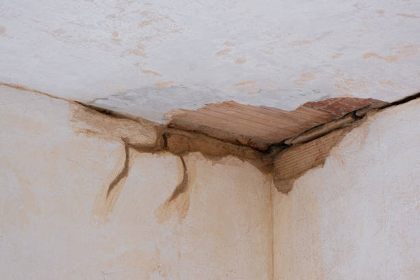 Best Commercial water damage restoration  in East Lansing, MI