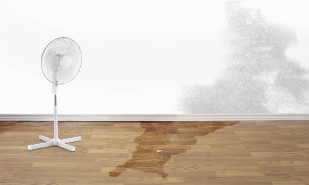 Best Flooded house restoration  in East Lansing, MI