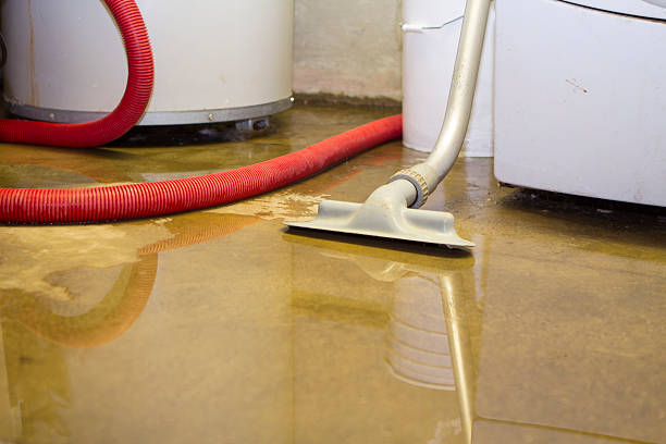 Best Emergency water extraction  in East Lansing, MI