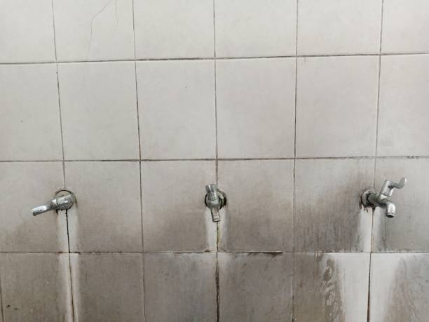  East Lansing, MI Water damage restoration Pros