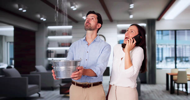 Best Basement water damage restoration  in East Lansing, MI
