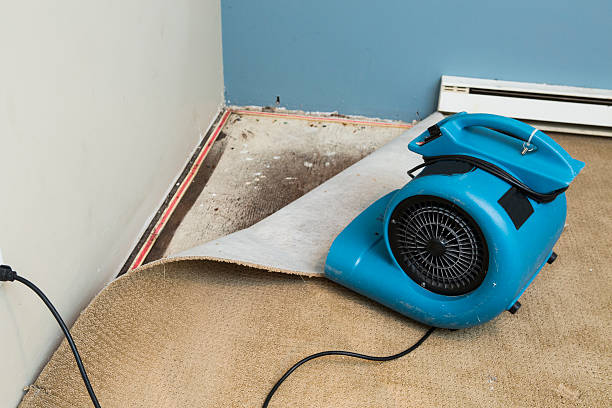Best Residential water damage restoration  in East Lansing, MI